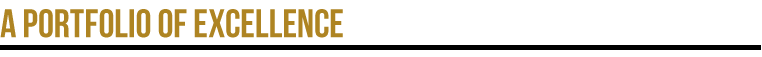 A Portfolio of Excellence